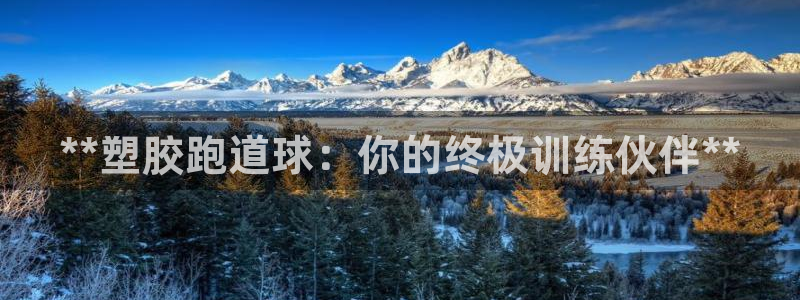 尊龙凯时人生就是搏包装优势：**塑胶跑道球：你的终极训练伙伴**