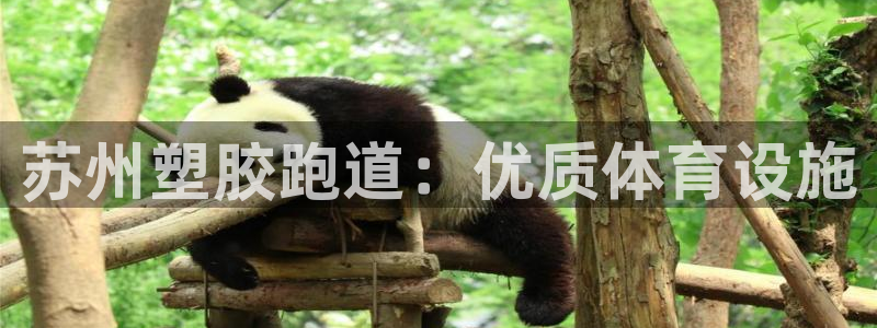 尊龙公司：苏州塑胶跑道：优质体育设施