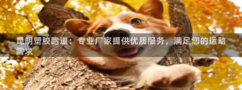 尊龙ag旗舰厅官网官方入口