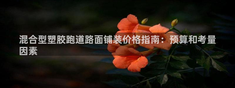凯时app官网首页：混合型塑胶跑道路面铺装价格指南：预算和考量
因素