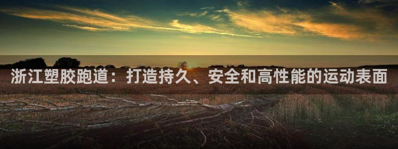 尊龙凯时美金能提取吗