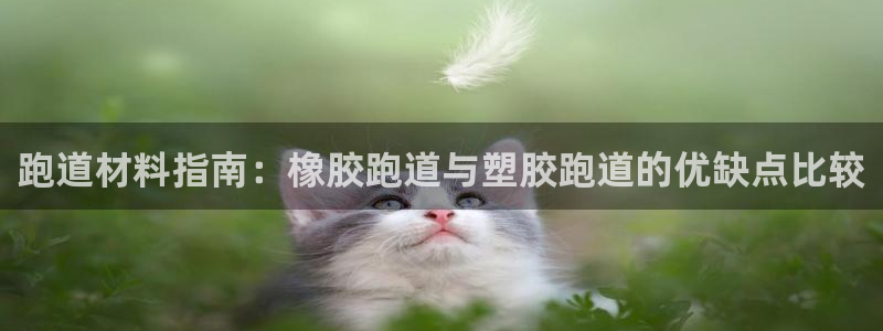 尊龙凯时下载人生就是博