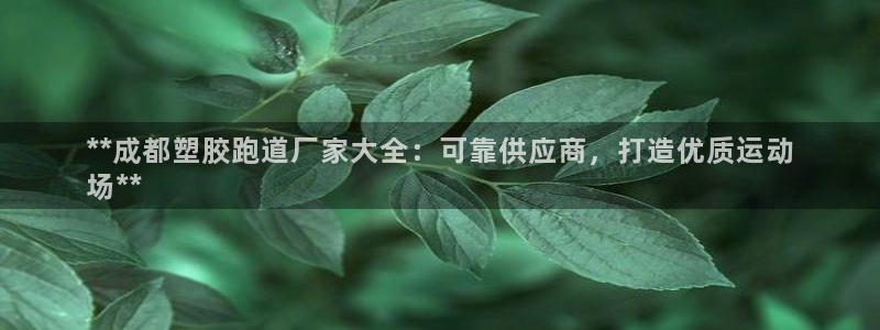 尊龙凯时v7要冲多少：**成都塑胶跑道厂家大全：可靠供应商，打造优质运动
场**