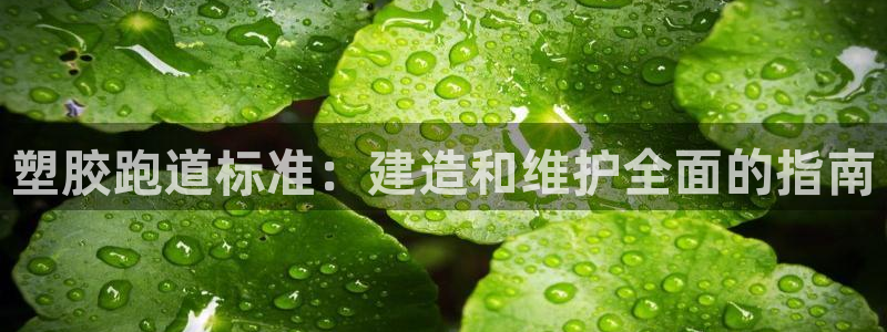尊龙娱官网赢来就送38：塑胶跑道标准：建造和维护全面的指南