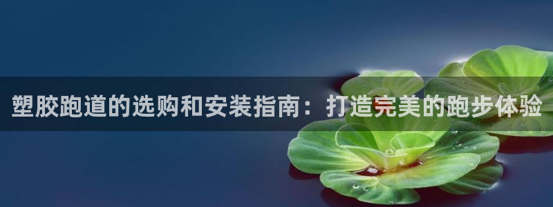 尊龙物流怎么样：塑胶跑道的选购和安装指南：打造完美的跑步体验