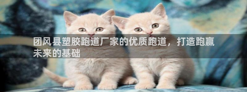 尊龙凯时充十万返现多少：团风县塑胶跑道厂家的优质跑道，打造跑赢
未来的基础