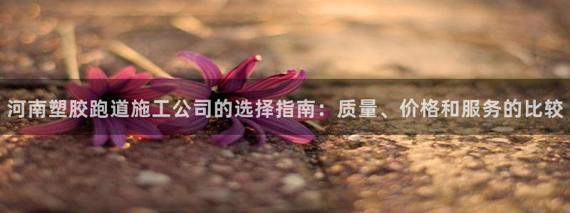 尊龙官网注册：河南塑胶跑道施工公司的选择指南：质量、价格和服务的比较