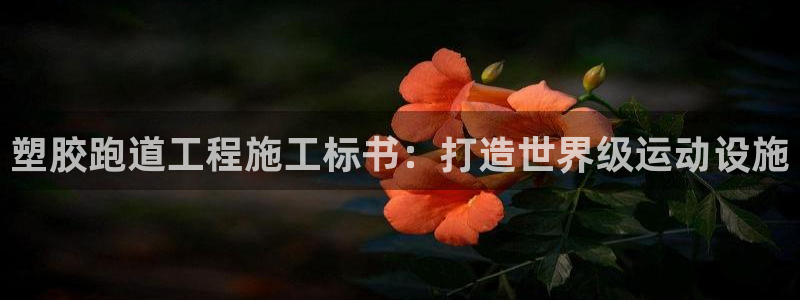尊龙人生就是博管网：塑胶跑道工程施工标书：打造世界级运动设施