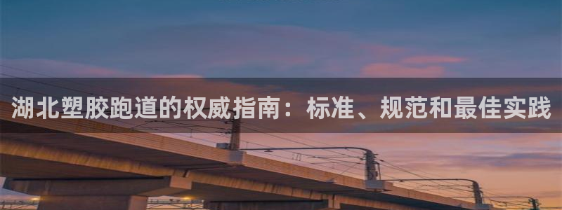 尊龙 6：湖北塑胶跑道的权威指南：标准、规范和最佳实践