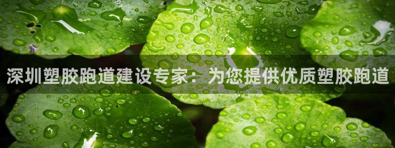 尊龙凯时下载人生就是博：深圳塑胶跑道建设专家：为您提供优质塑胶跑道
