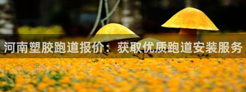 尊龙凯时充十万返现多少：河南塑胶跑道报价：获取优质跑道安装服务