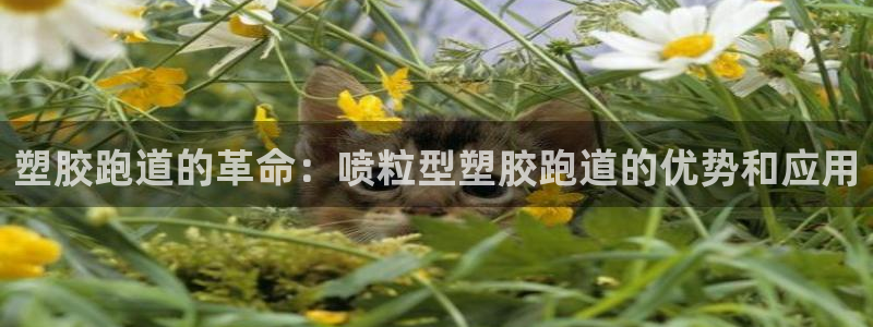 d88尊龙平台开户：塑胶跑道的革命：喷粒型塑胶跑道的优势和应用