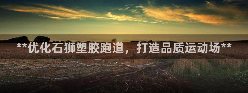 尊龙凯时不给提款：**优化石狮塑胶跑道，打造品质运动场**