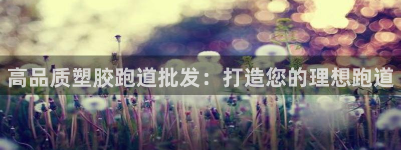 尊龙用现金一下可靠送38元：高品质塑胶跑道批发：打造您的理想跑道