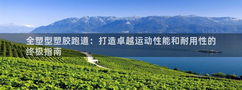 尊龙凯时ag旗舰厅官：全塑型塑胶跑道：打造卓越运动性