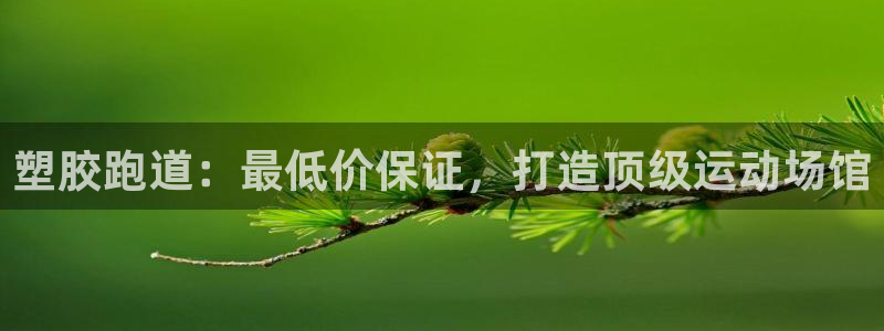 d88尊龙可靠送38元：塑胶跑道：最低价保证，打造顶