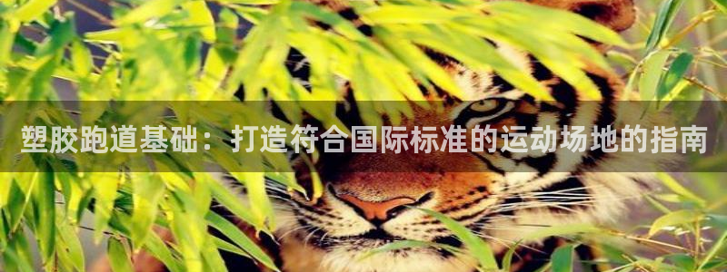 尊龙凯时 - 人生就是搏!提款怎么样：塑胶跑道基础：打造符合国际标准的运动场地的指南