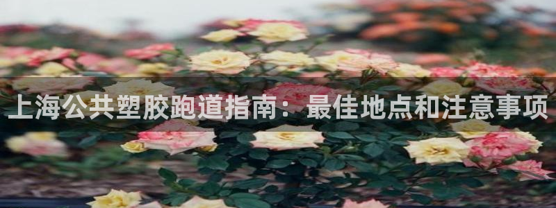 z6尊龙凯时：上海公共塑胶跑道指南：最佳地点和注意事