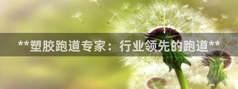 尊龙凯时干什么的：**塑胶跑道专家：行业领先的跑道**
