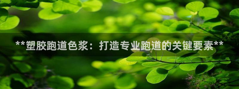 尊龙官方网址：**塑胶跑道色浆：打造专业跑道的关键要素**