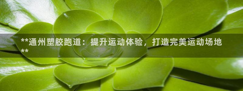凯时K66最新版本下载
