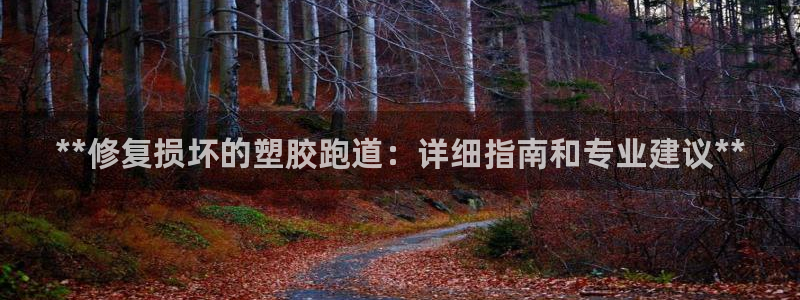 尊龙凯时app官网：**修复损坏的塑胶跑道：详细指南和专业建