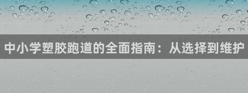 尊龙官网免费下载：中小学塑胶跑道的全面指南：从选择到维护