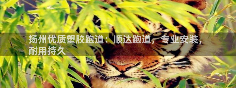 尊龙凯时白家乐：扬州优质塑胶跑道：顺达跑道，专业安装，
耐用