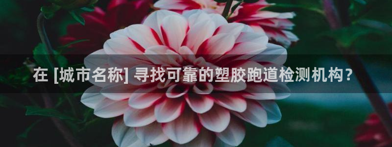尊龙,人生就是博!登录国际：在 [城市名称] 寻找可靠的塑胶