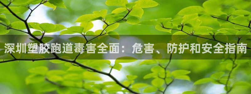 Z6尊龙官网入口：深圳塑胶跑道毒害全面：危害、防护和安全指南
