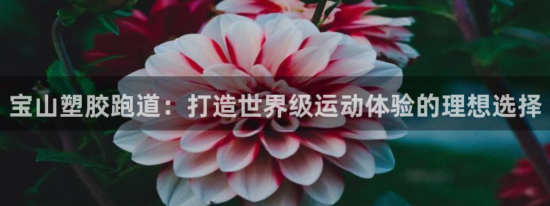 尊龙凯时人生就是博·(中国)：宝山塑胶跑道：打造世界级运动体验的理想选择