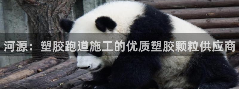 凯时kb88kb88：河源：塑胶跑道施工的优质塑胶颗粒供应商
