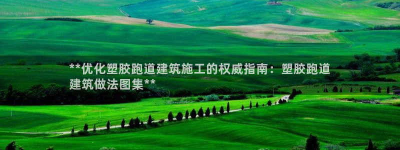 尊龙d88官网登录下载：**优化塑胶跑道建筑施工的权威指南：塑胶跑道
建筑做法图集**