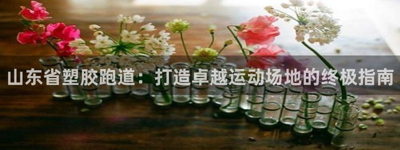 尊龙服饰有限公司地址：山东省塑胶跑道：打造卓越运动场地的终极指南