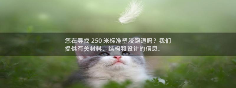 尊龙网站注册网：您在寻找 250 米标准塑胶跑道吗？我们
提供有关材料、结构和设计的信息。