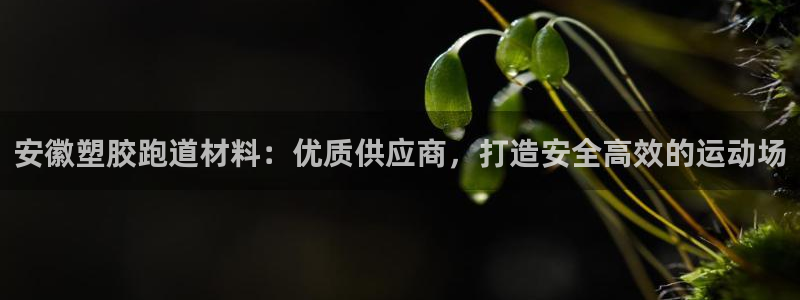 尊龙官网免费下载：安徽塑胶跑道材料：优质供应商，打造安全高效的运动场