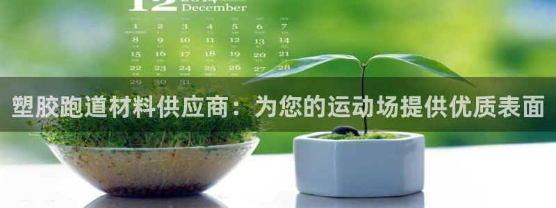 尊龙凯时网娱乐最新版：塑胶跑道材料供应商：为您的运动场提供优质表面
