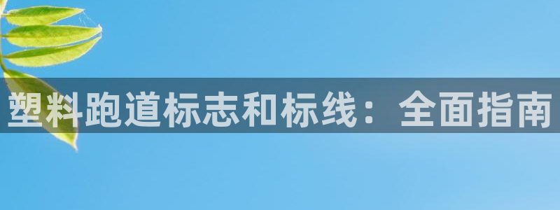 凯时国际app首页登录：塑料跑道标志和标线：全面指南