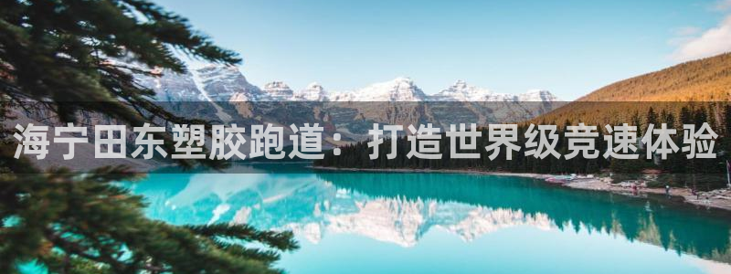 尊龙AG发财网：海宁田东塑胶跑道：打造世界级竞速体验