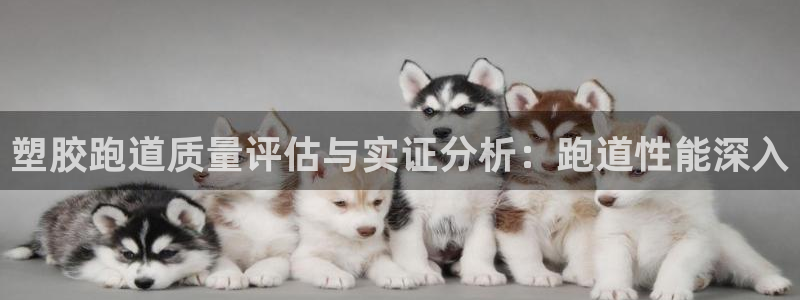 尊龙人生就是博网站：塑胶跑道质量评估与实证分析：跑道性能深入