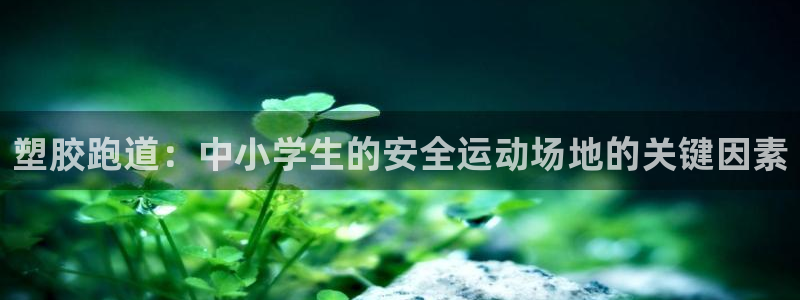 最新凯时官网网址：塑胶跑道：中小学生的安全运动场地的关键因素