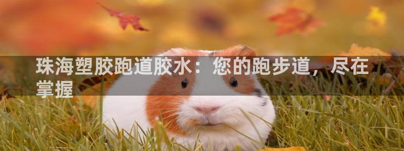 尊龙凯时提不了款：珠海塑胶跑道胶水：您的跑步道，尽在