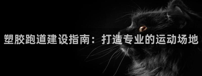 尊龙新版登录网址下载：塑胶跑道建设指南：打造专业的运