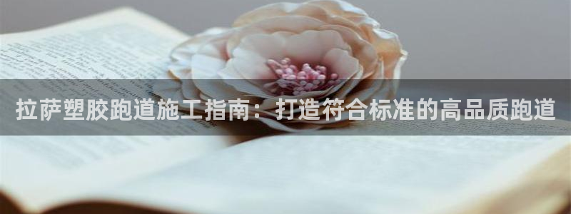 尊龙 下载：拉萨塑胶跑道施工指南：打造符合标准的高品