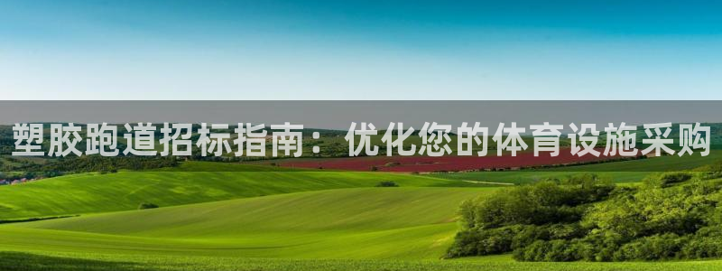 尊龙凯时人生就是搏!官网：塑胶跑道招标指南：优化您的体育设施采购