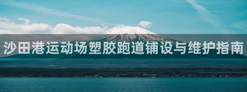 尊龙凯时网娱乐最新版：沙田港运动场塑胶跑道铺设与维护