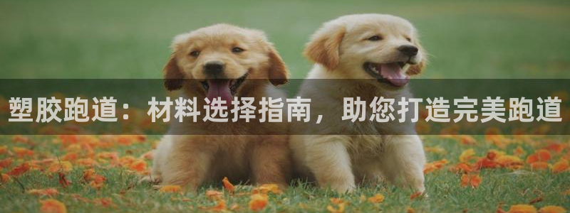 尊龙凯时平台还是万搏好：塑胶跑道：材料选择指南，助您