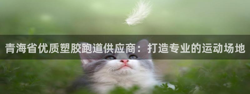 z6尊龙z6：青海省优质塑胶跑道供应商：打造专业的运动场地
