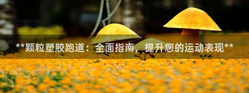 尊龙凯时为什么输了钱