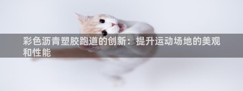 尊龙凯时赢不了：彩色沥青塑胶跑道的创新：提升运动场地的美观
和性能